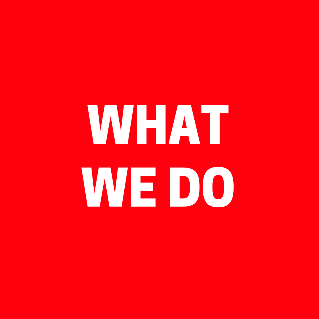 WHAT WE DO.png