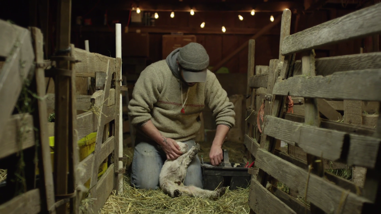 Joe taking care of a newborn lamb in the barn .