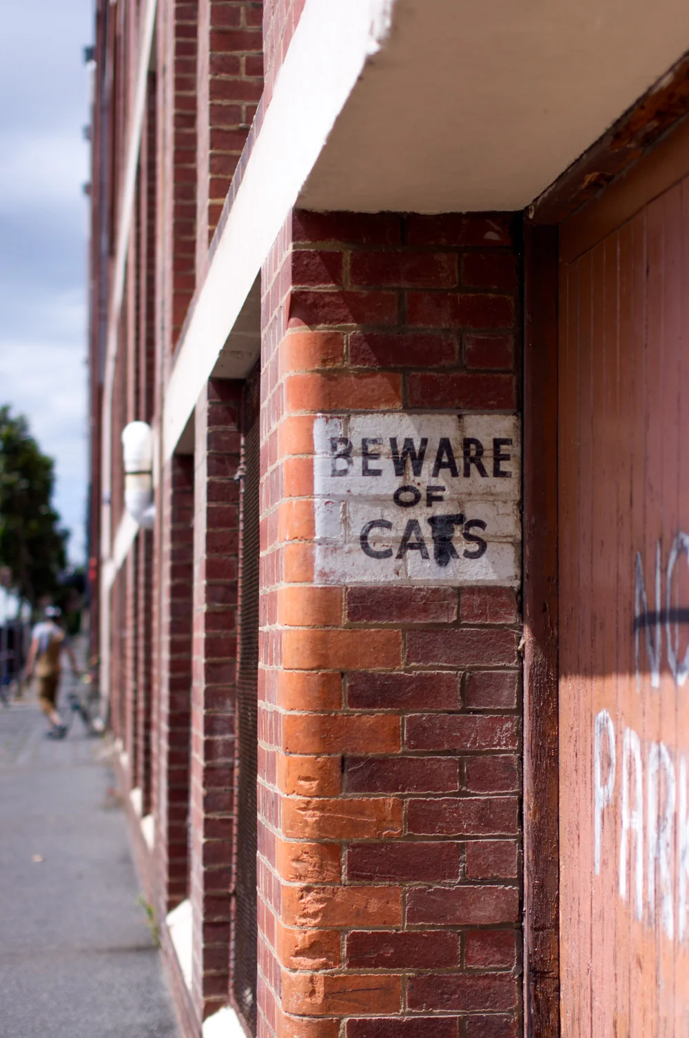 Beware of cats. Photo by Susan Fitzgerald.