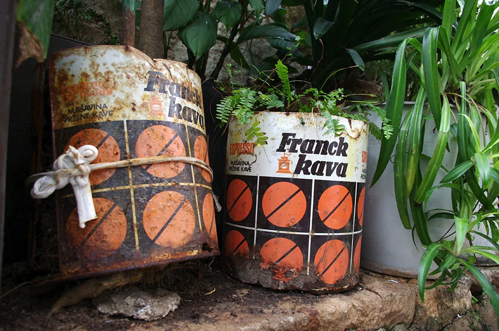 Coffee tin pot plants in Croatia