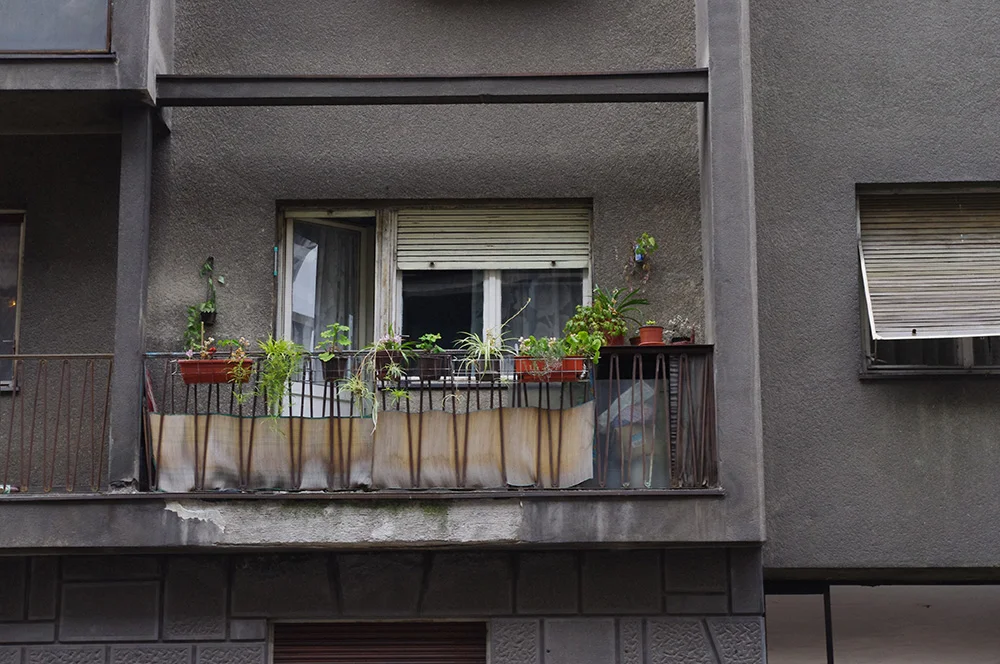 Balcony plants in Serbia