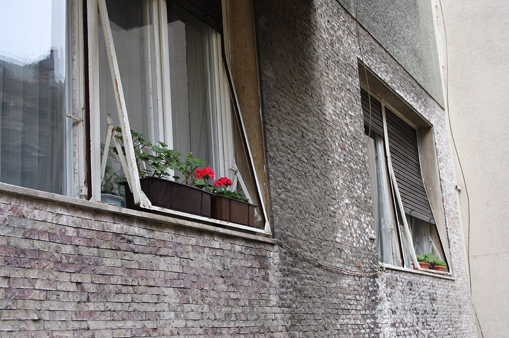 More pot plants in Serbia. I told you I take a lot of photos of pot plants!