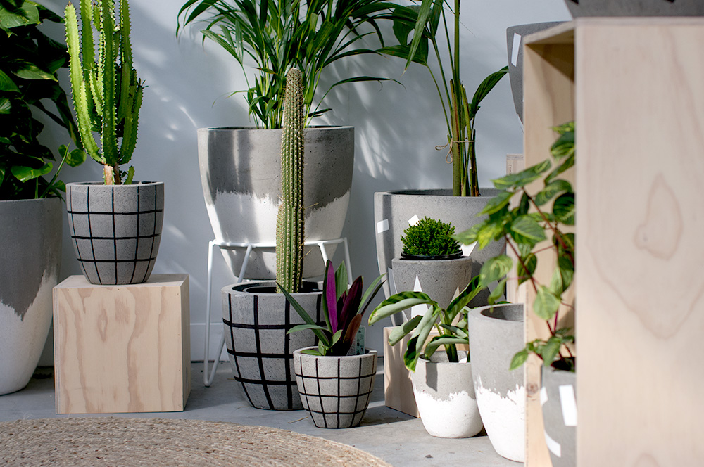 A selection of the larger-sized concrete planters in the Fox & Ramona range. Photo by Susan Fitzgerald.