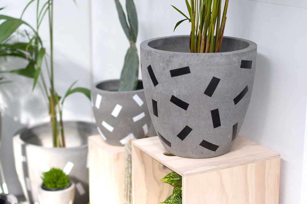 Large painted concrete planters. Photo by Susan Fitzgerald.