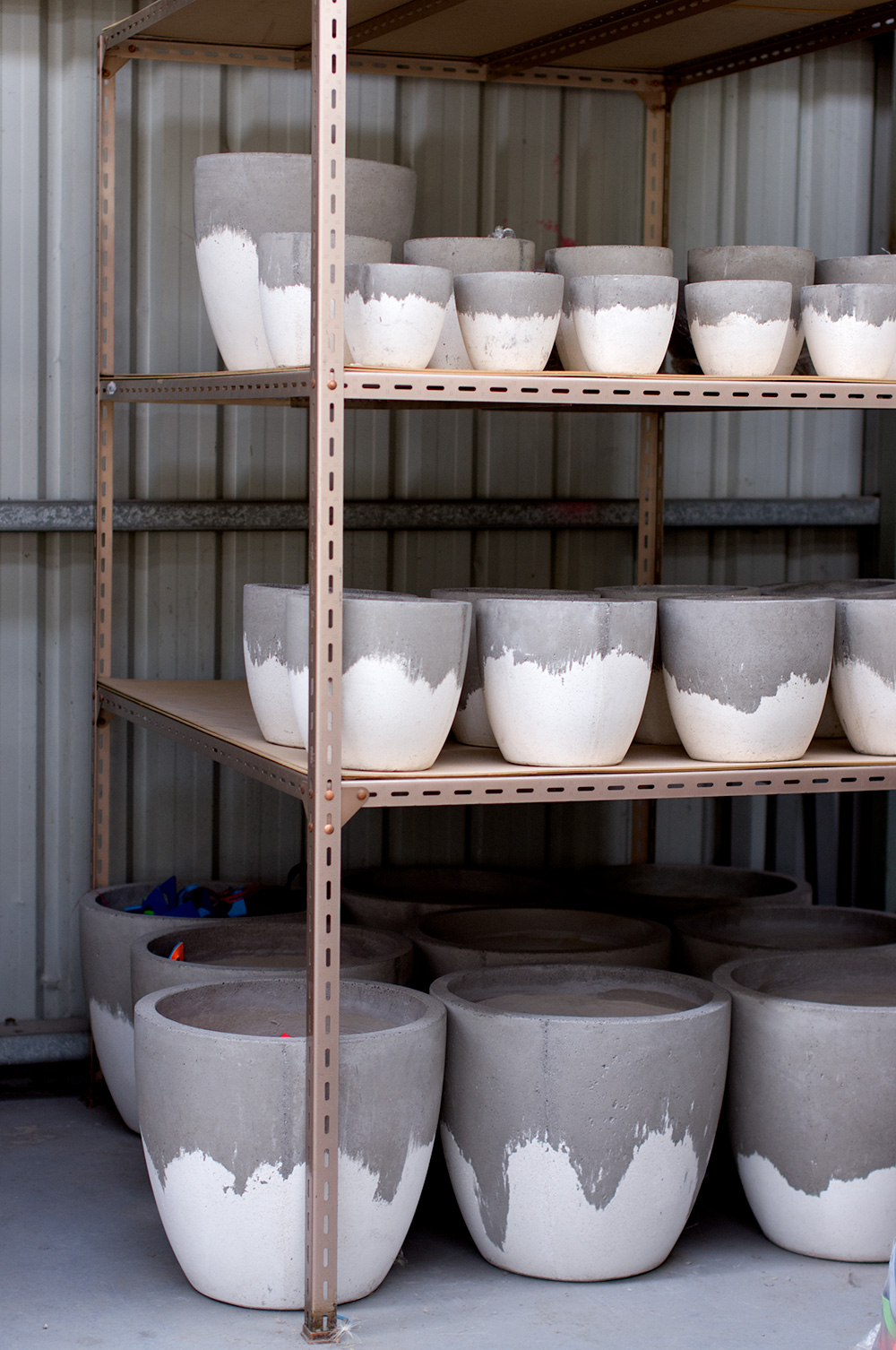 White Wash planters all lined up and in size order. Photo by Susan Fitzgerald.
