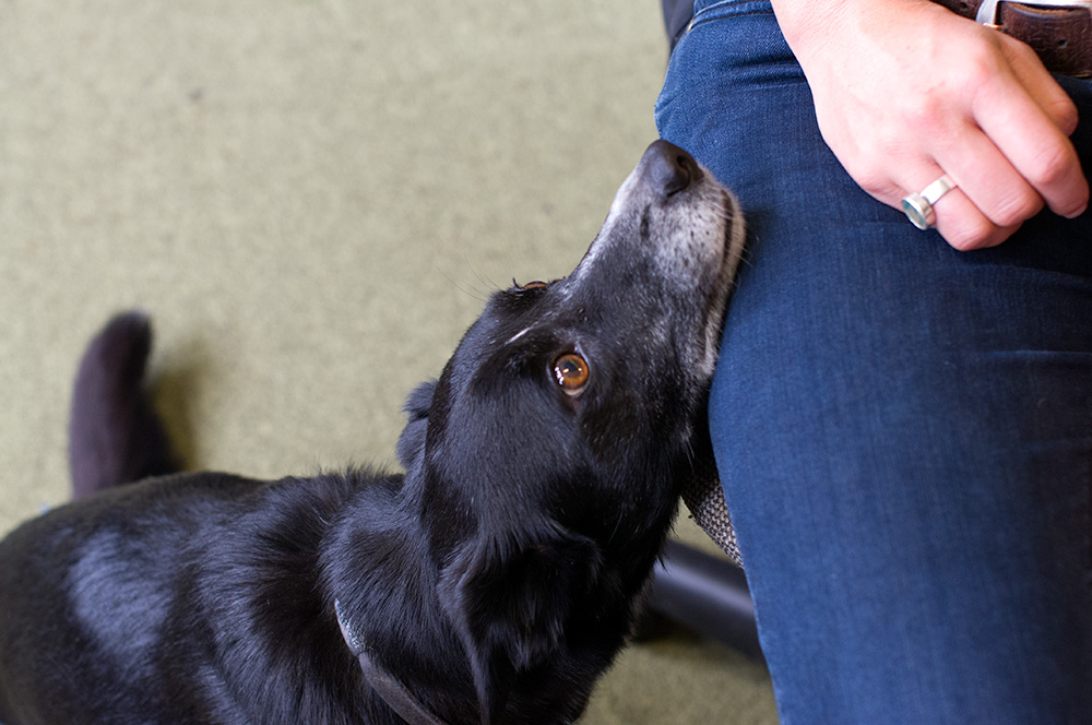 One of Marc's studio mates and her dog. Photo by Susan Fitzgerald.