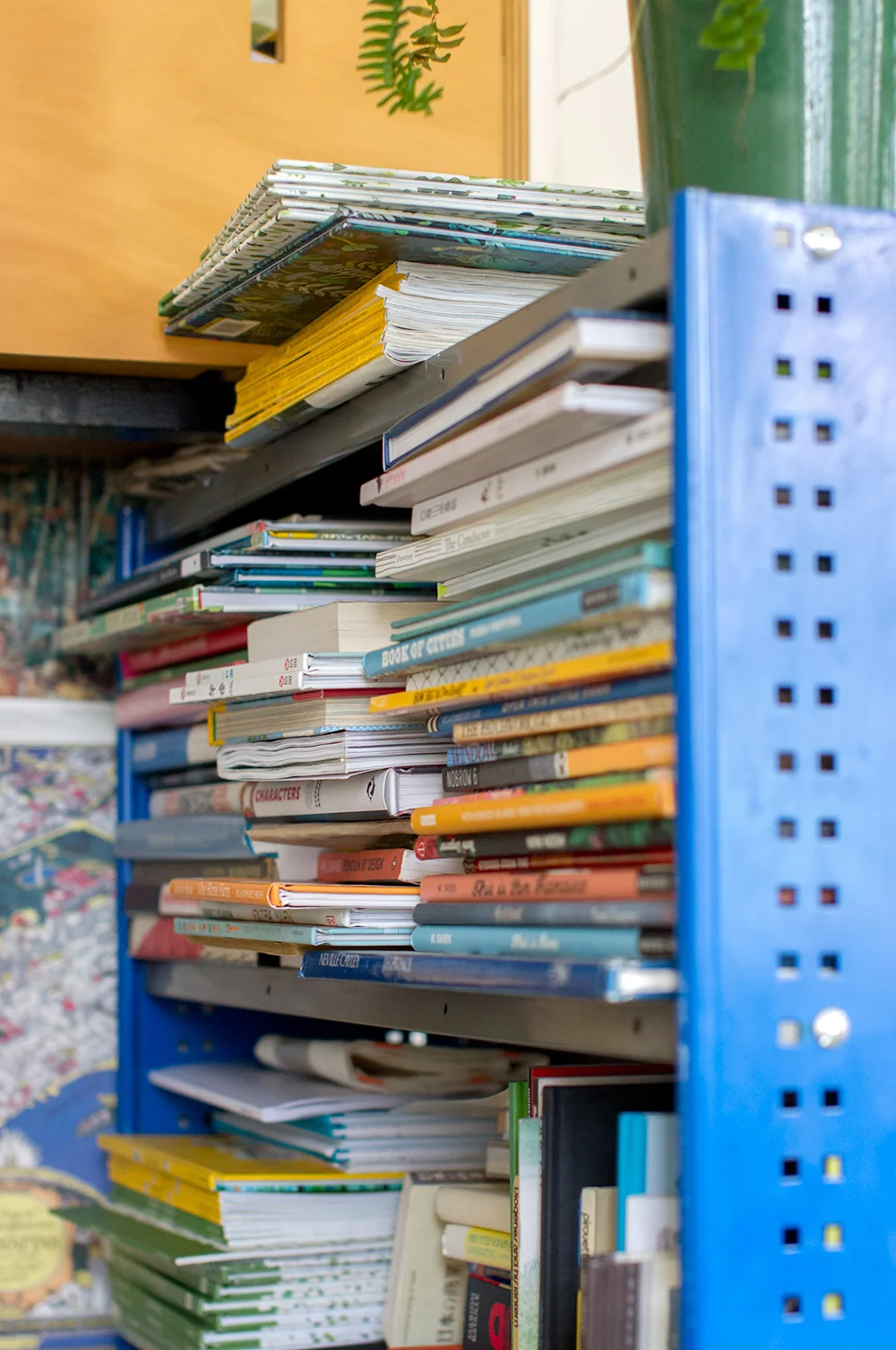Bookshelf. Photo by Susan Fitzgerald.