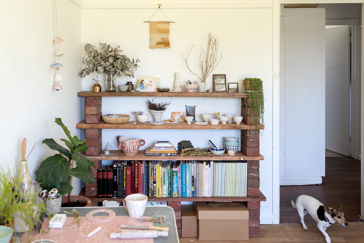Studio bookshelves and Aliça's dog Teti. Photo © Susan Fitzgerald 2017.