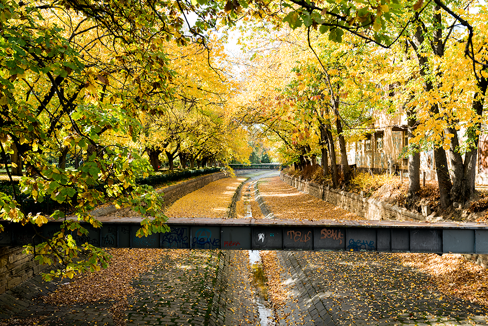 Autumn amazingness!