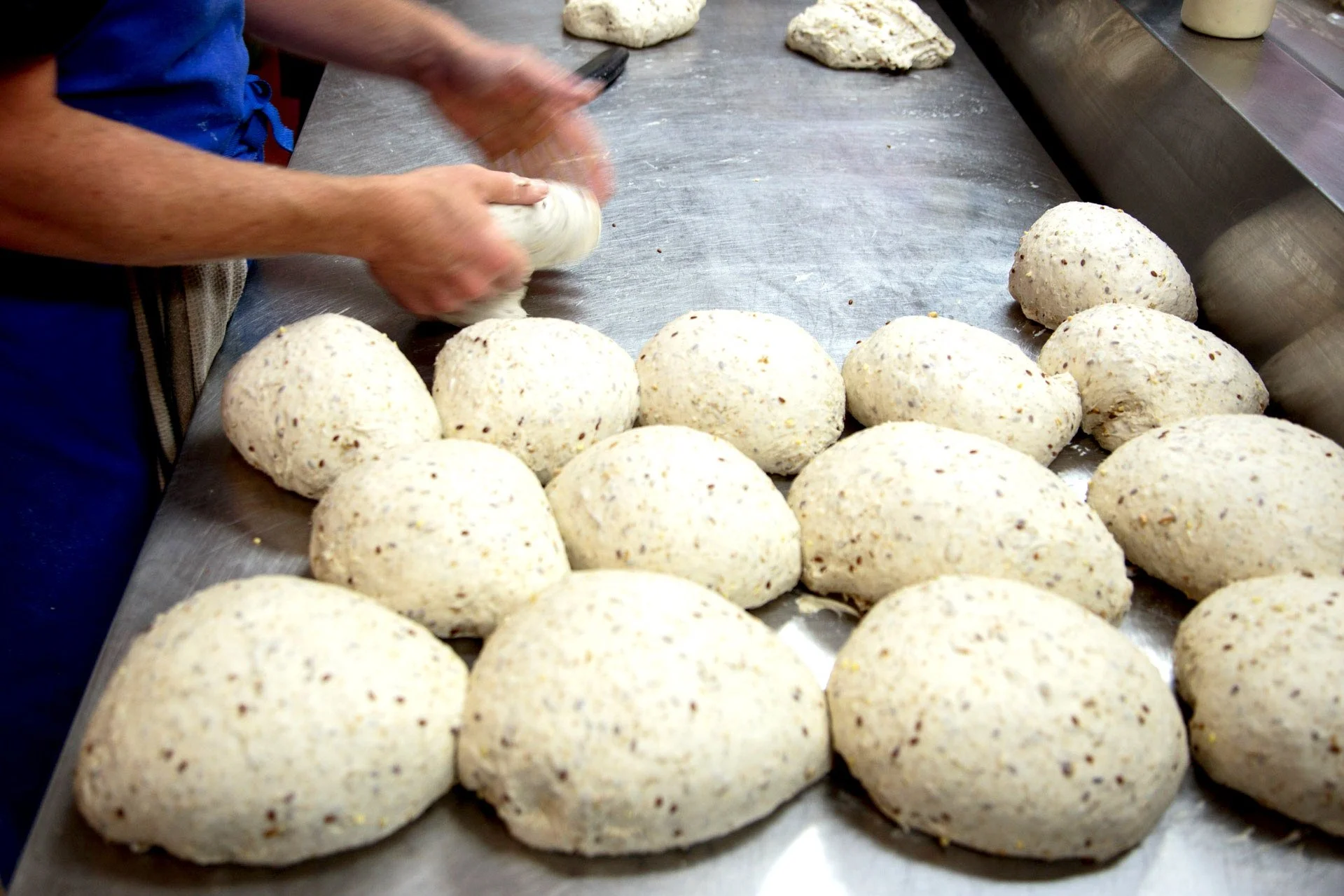 Harvest Breads + Cafe