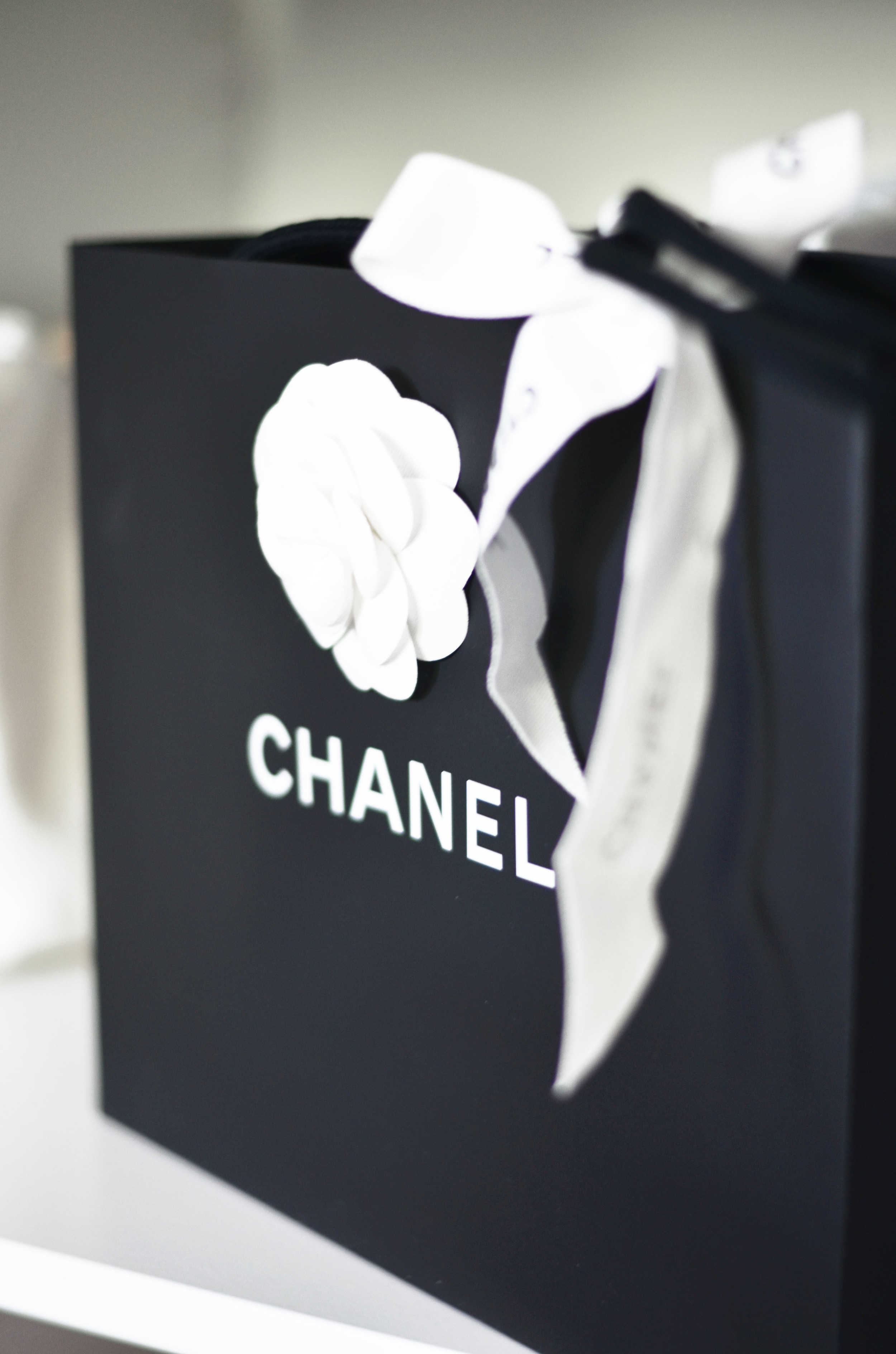 Chanel paper bags - Gem