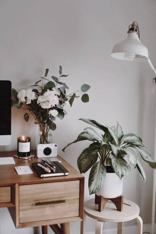 Life Lately and Plans for CHY in 2019