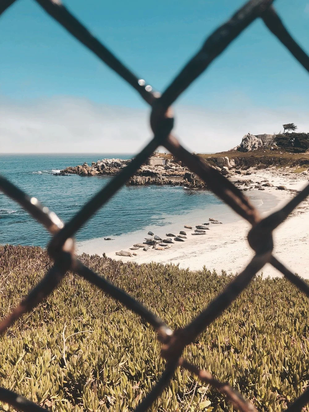 Photo Diary | A Quick Weekend in Monterey, CA