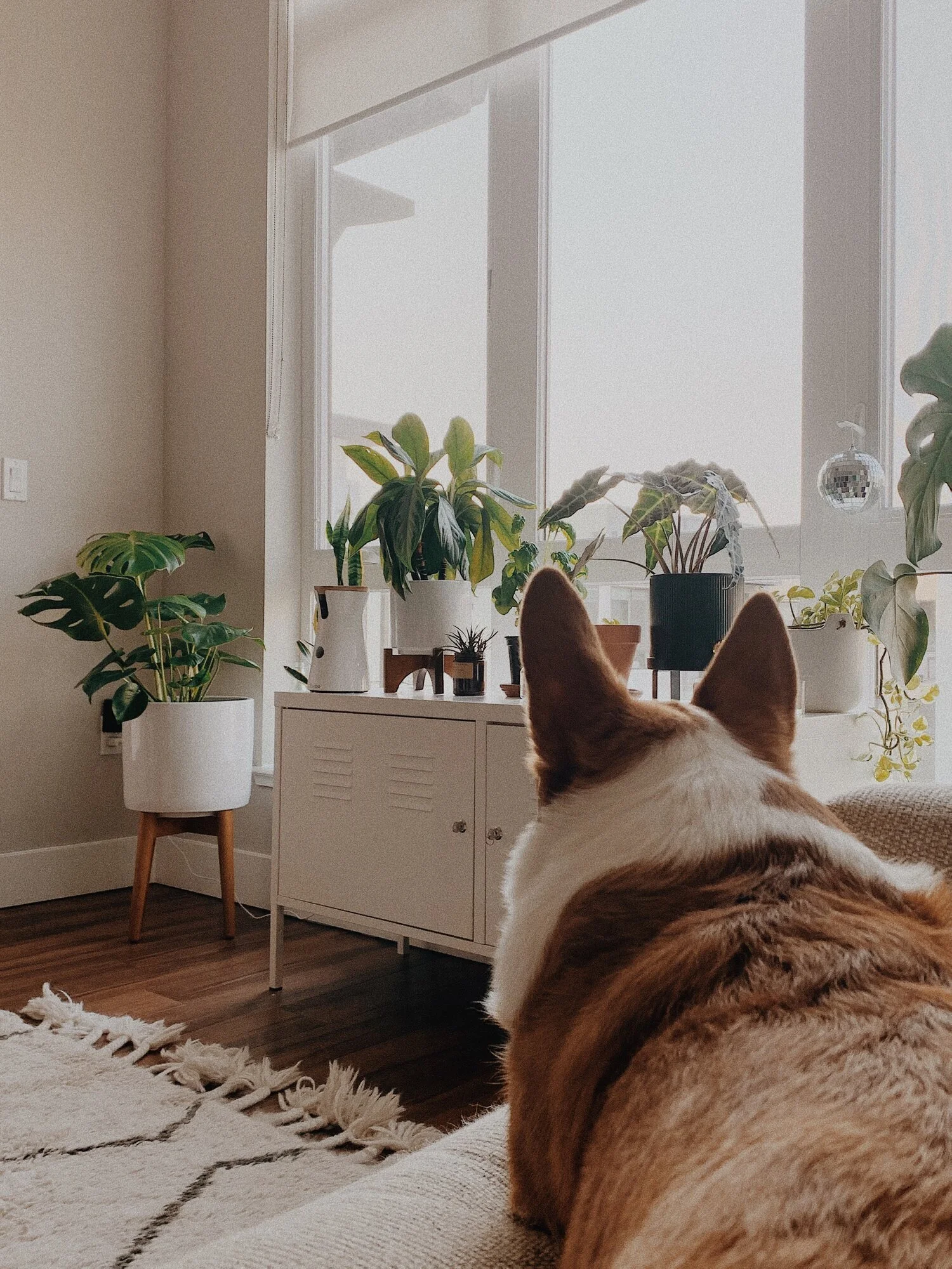 Simplifying My Belongings