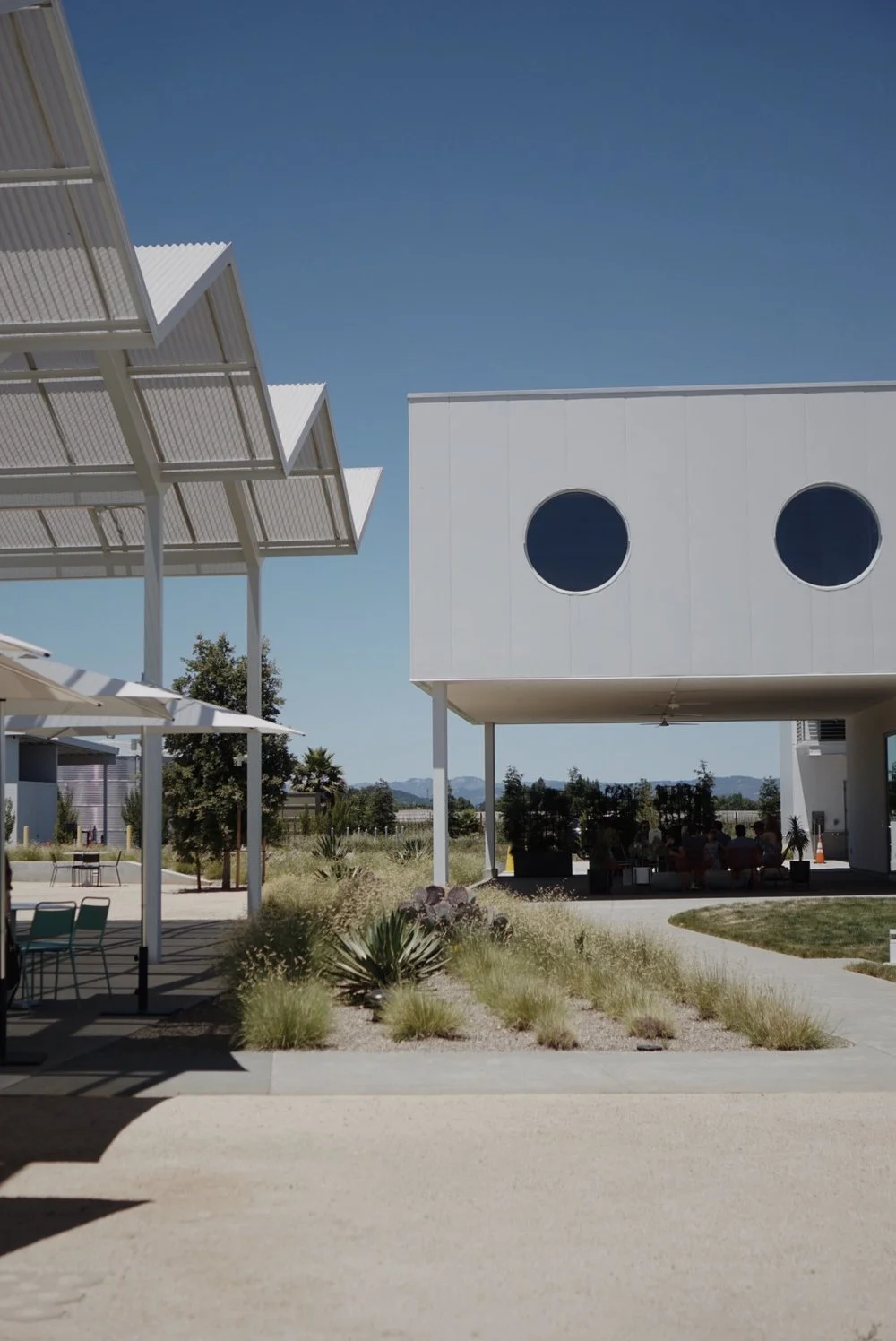 Visit Napa | Ashes x Diamonds Photo Diary