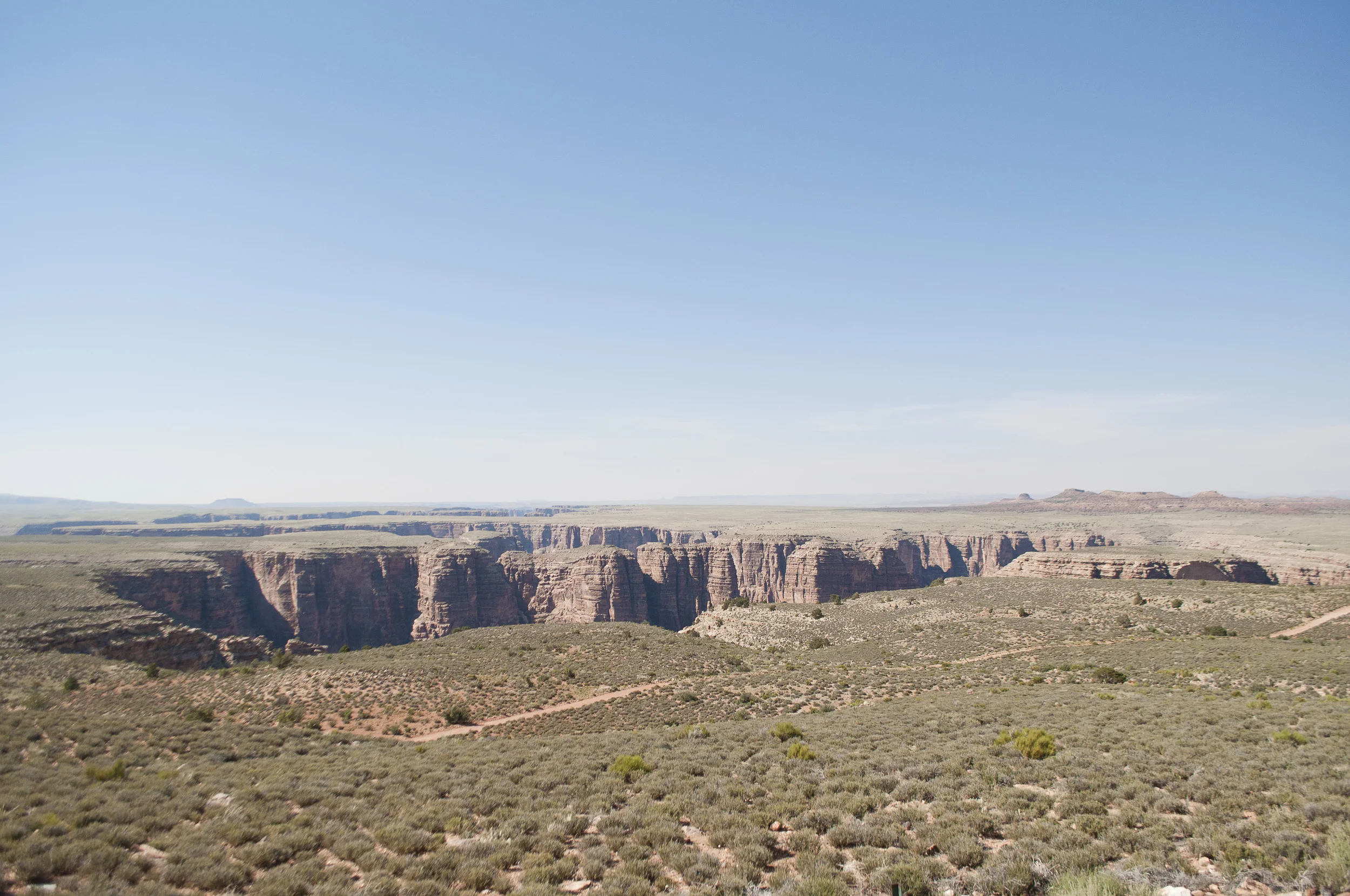 _DSC0334.jpg