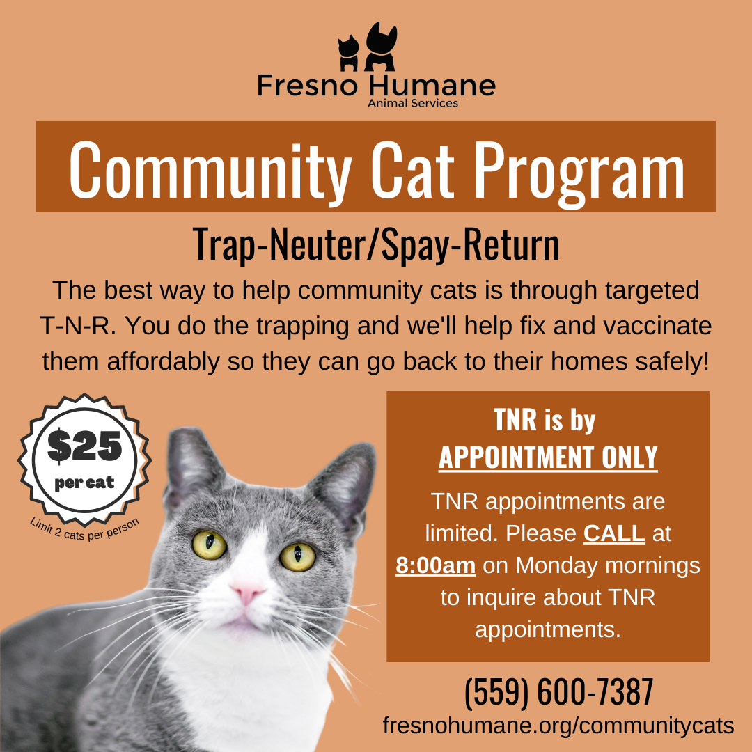 What Is Free Program For Community Cats? – QXYVRS