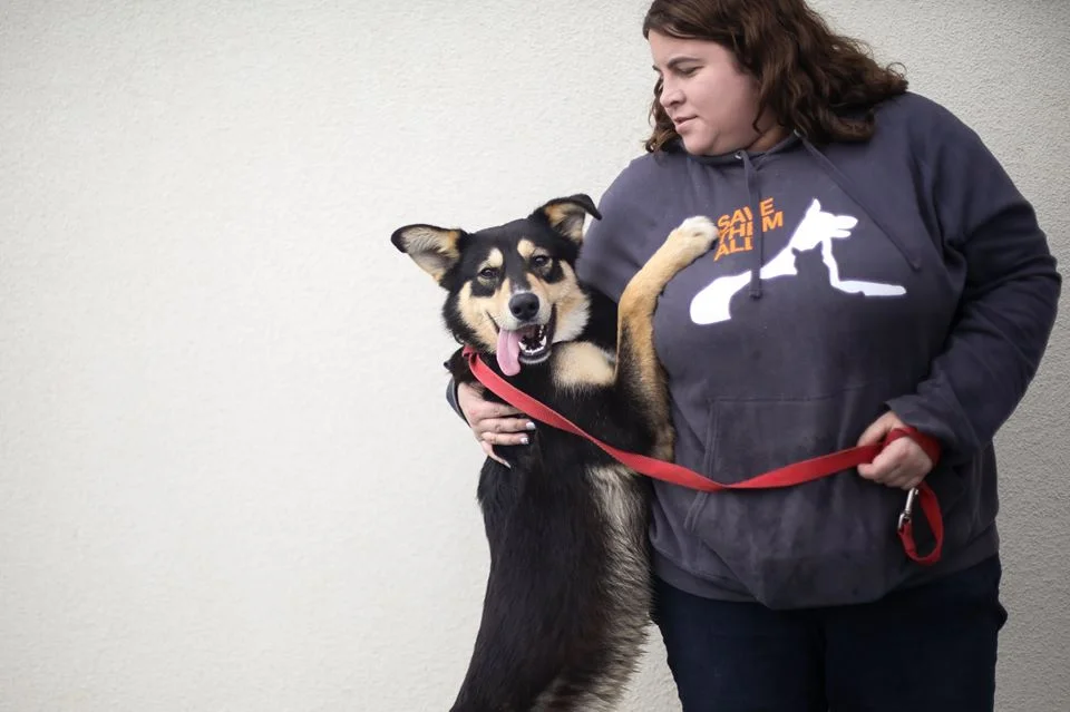 What We Do — Fresno Humane Animal Services
