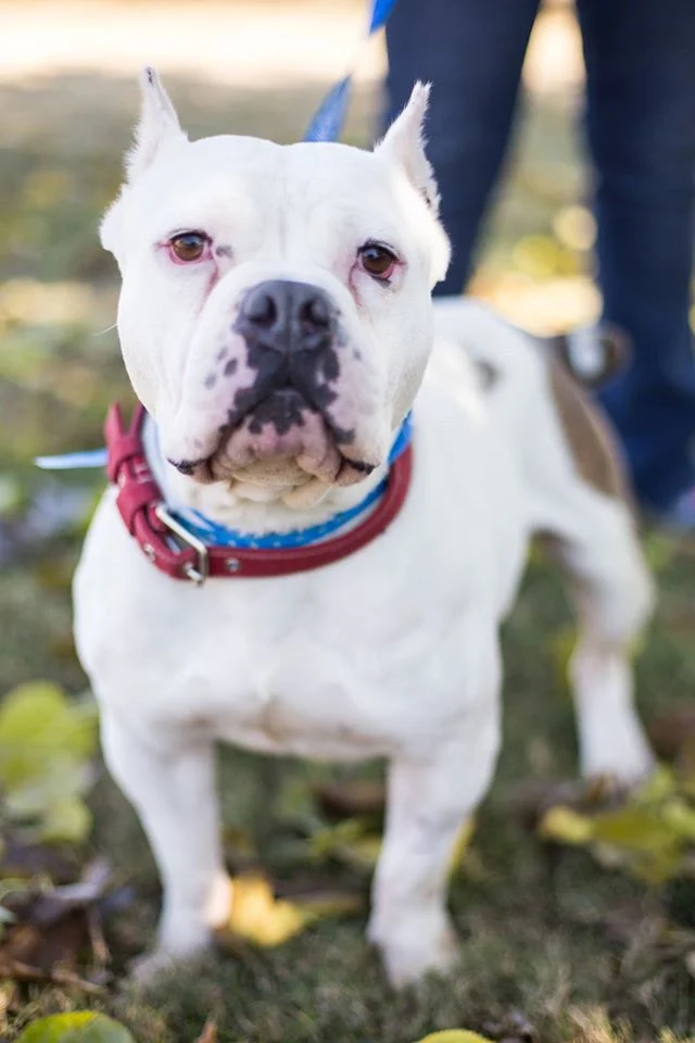 June 15 Squaw Valley 