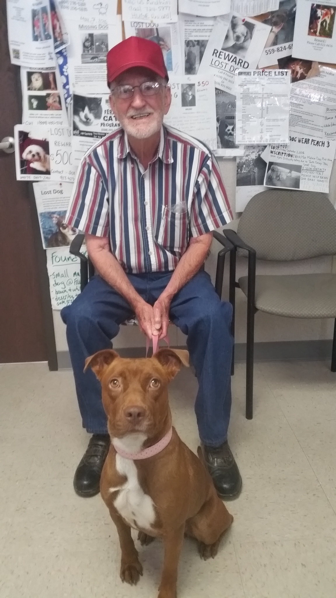 Foster and CALLIE VISITED THIS WEEK AND SHE ALREADY LOOKED SO MUCH BETTER! iT'S AMAZING WHAT A LOVING HOME CAN DO FOR A DOG.