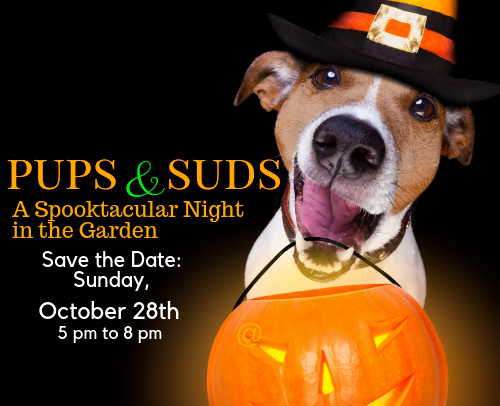 Pups &amp; Suds: A Spooktacular Night in the Garden