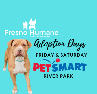Fresno Humane Offsite Dog Adoptions