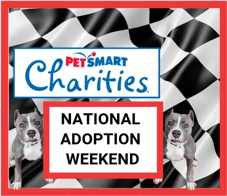 National Adoption Weekend at PetSmart River Park