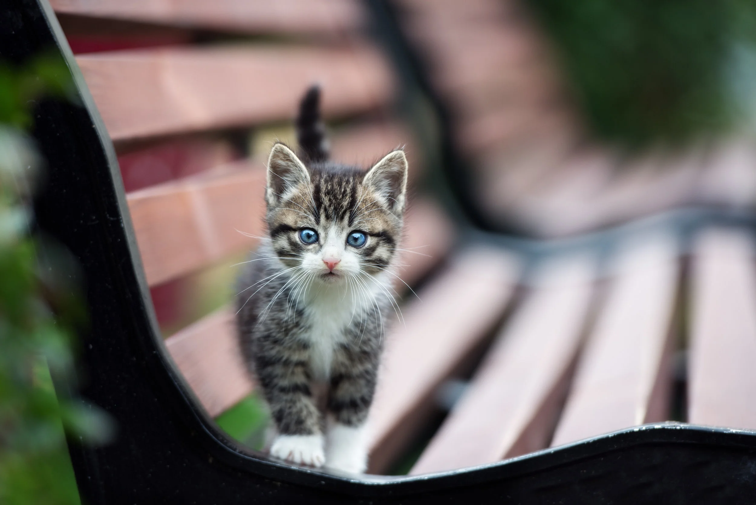 AdobeStock_170586850 (1).jpeg