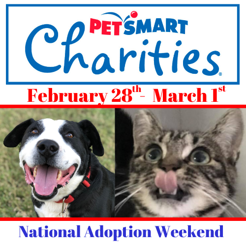 petsmart events this weekend