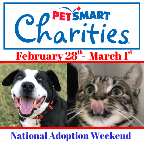 national pet adoption weekend