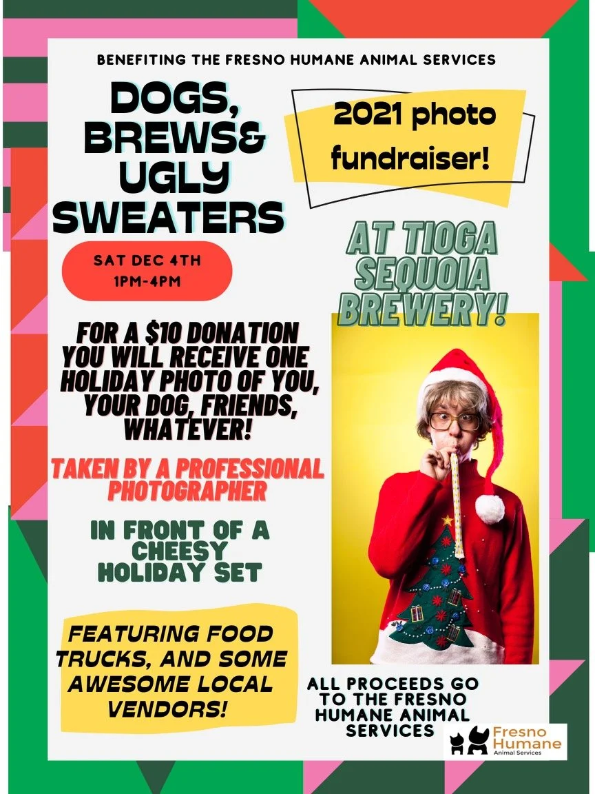 Dogs, Brews, and Ugly Sweaters 