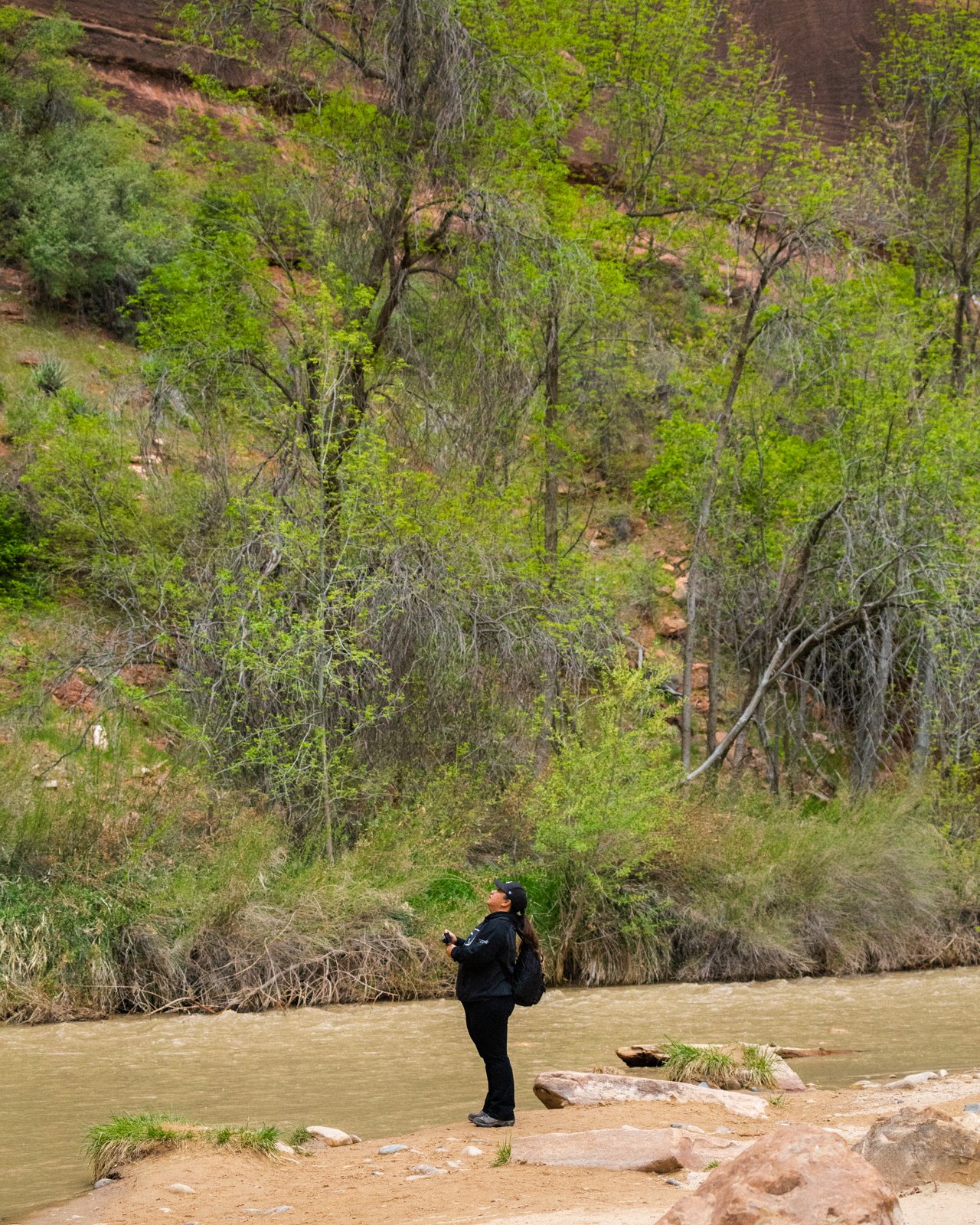 Zion-1.jpg