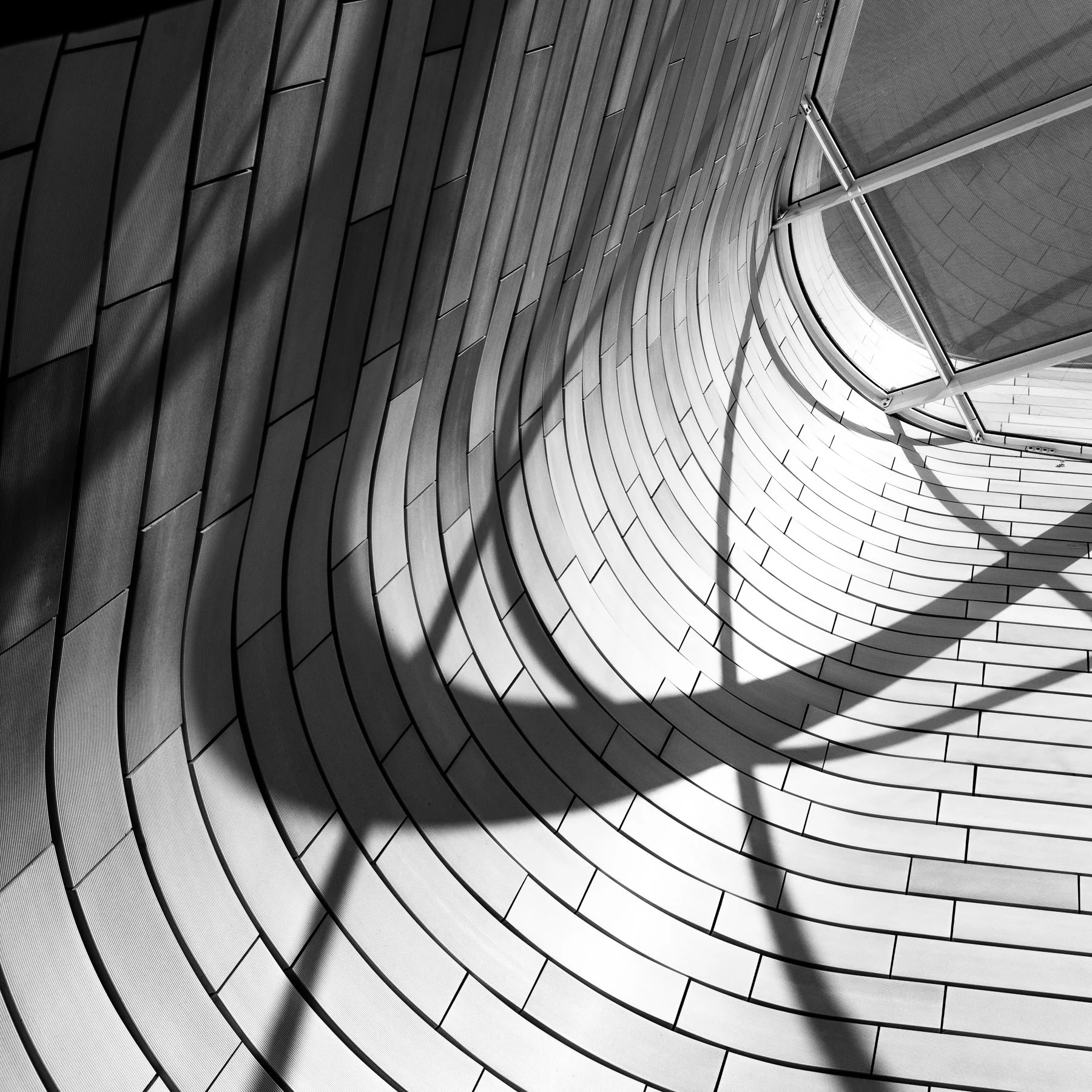 Museum-6.jpg