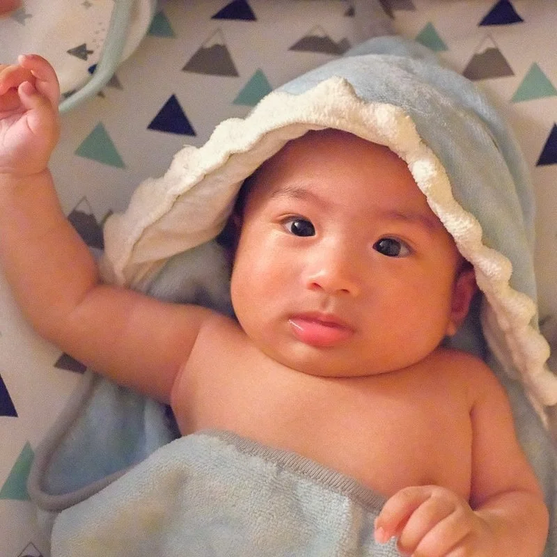 Baby Shark