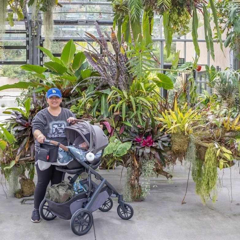 Botanic Garden Adventures