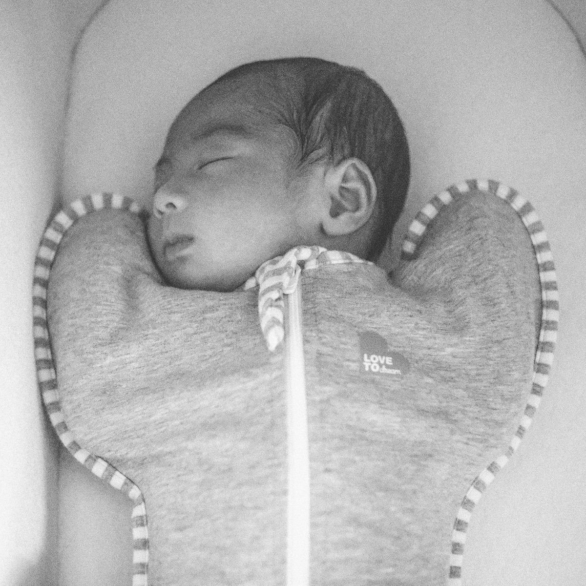 Dream Big, Little Starfish