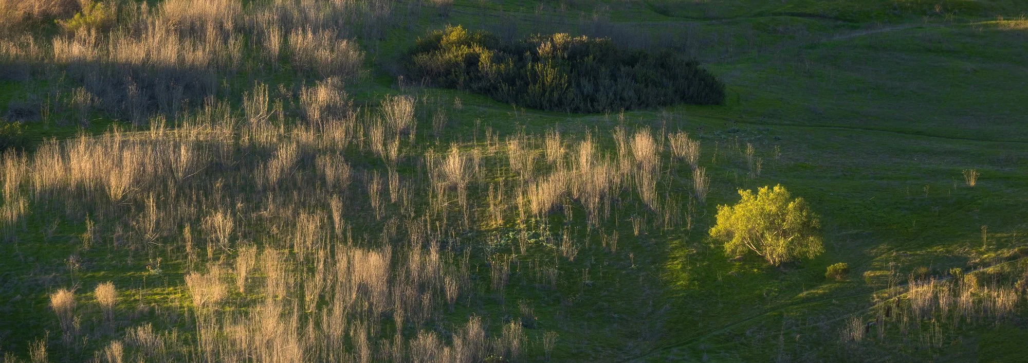 Lake Calavera Image 3
