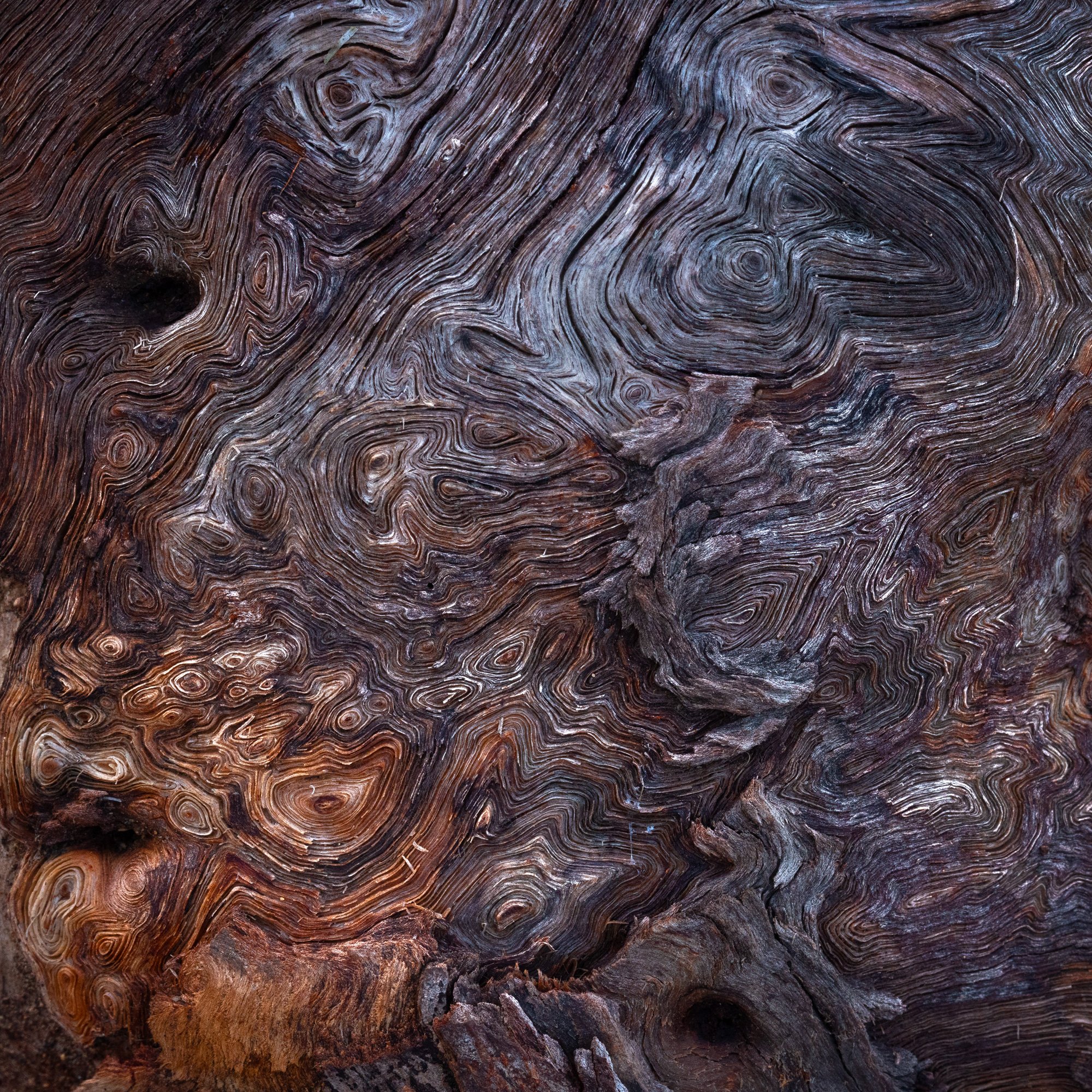 Discovery Lake Image 2