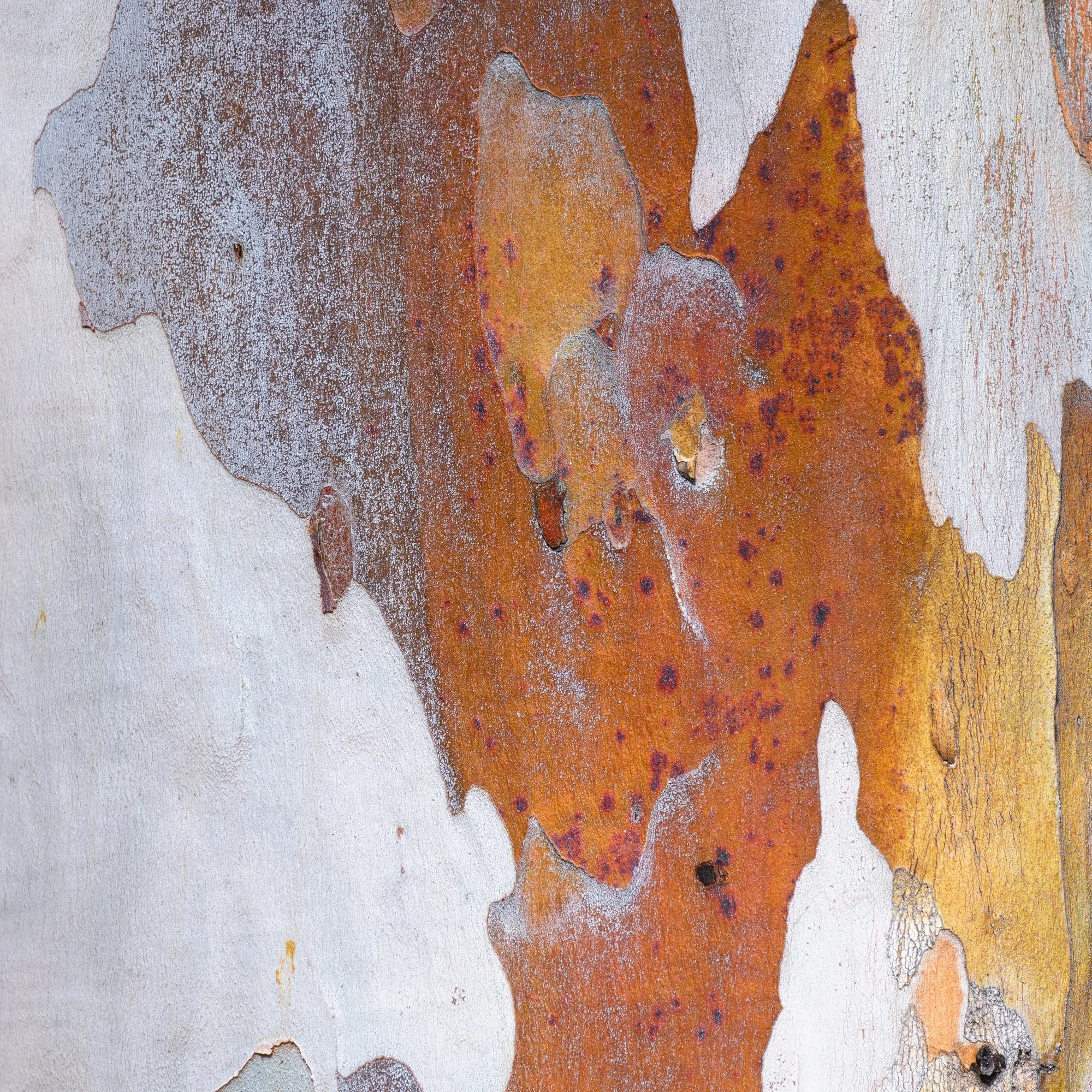 Discovery Lake Image 1