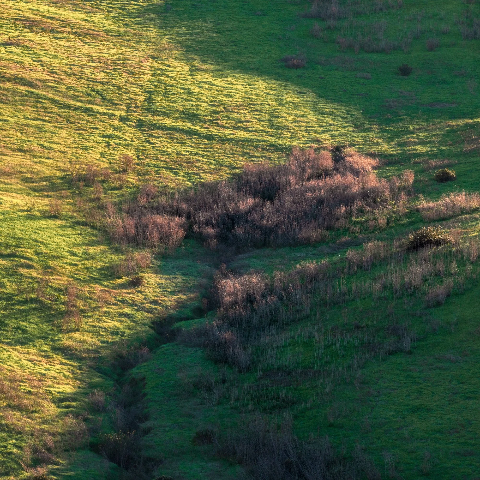 Lake Calavera Image 2