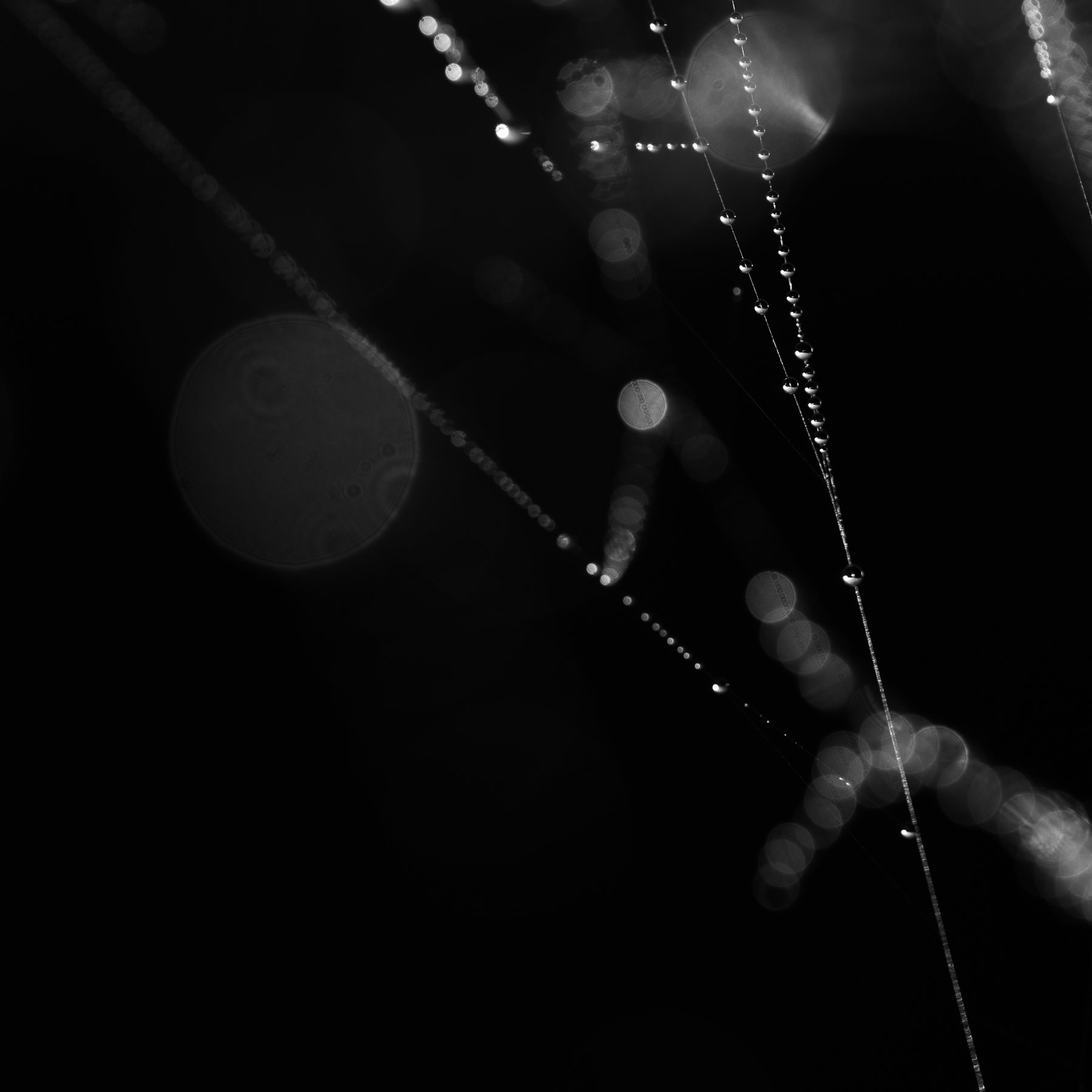 Dew