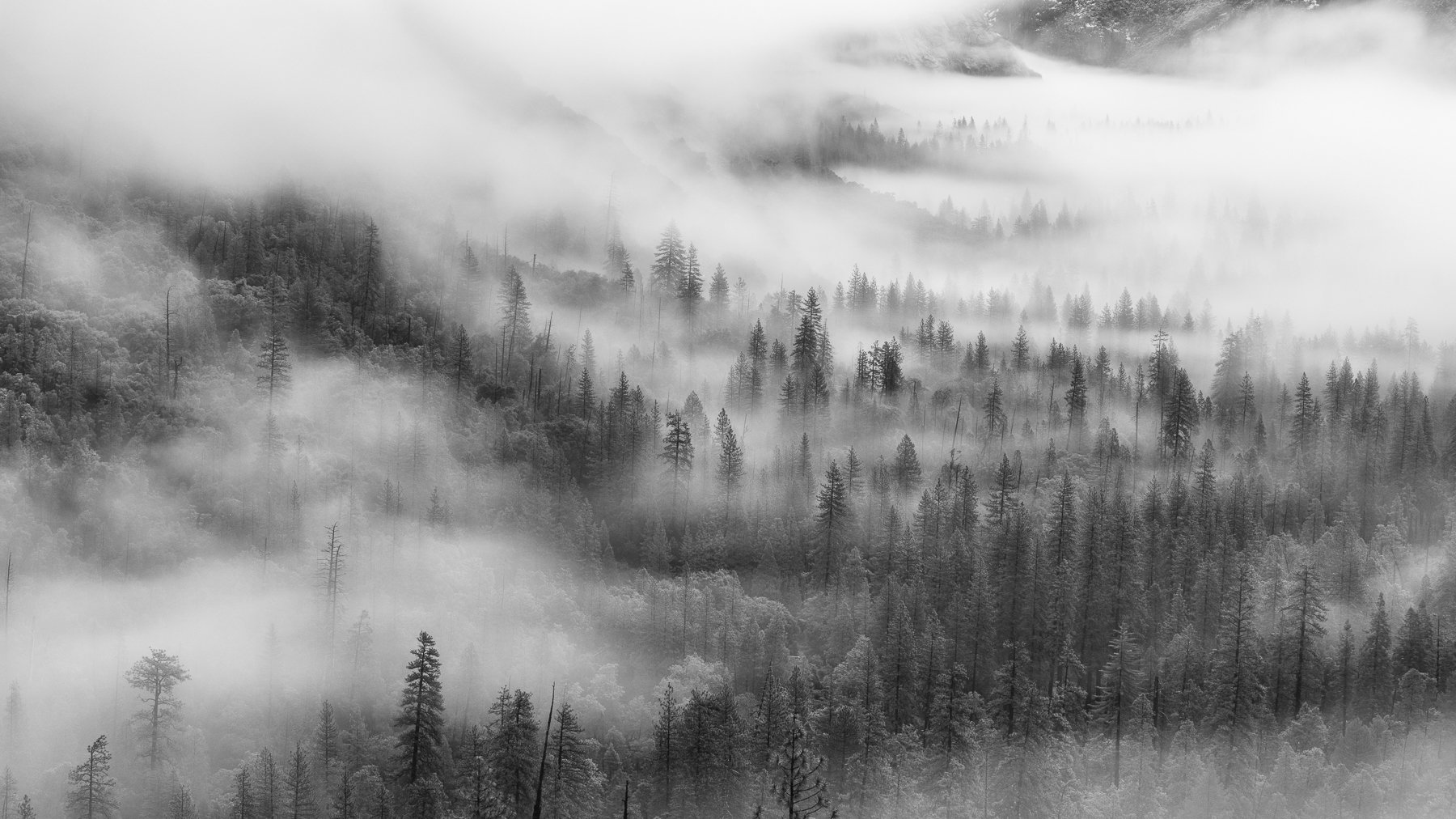  Yosemite NP, CA. (2026) 