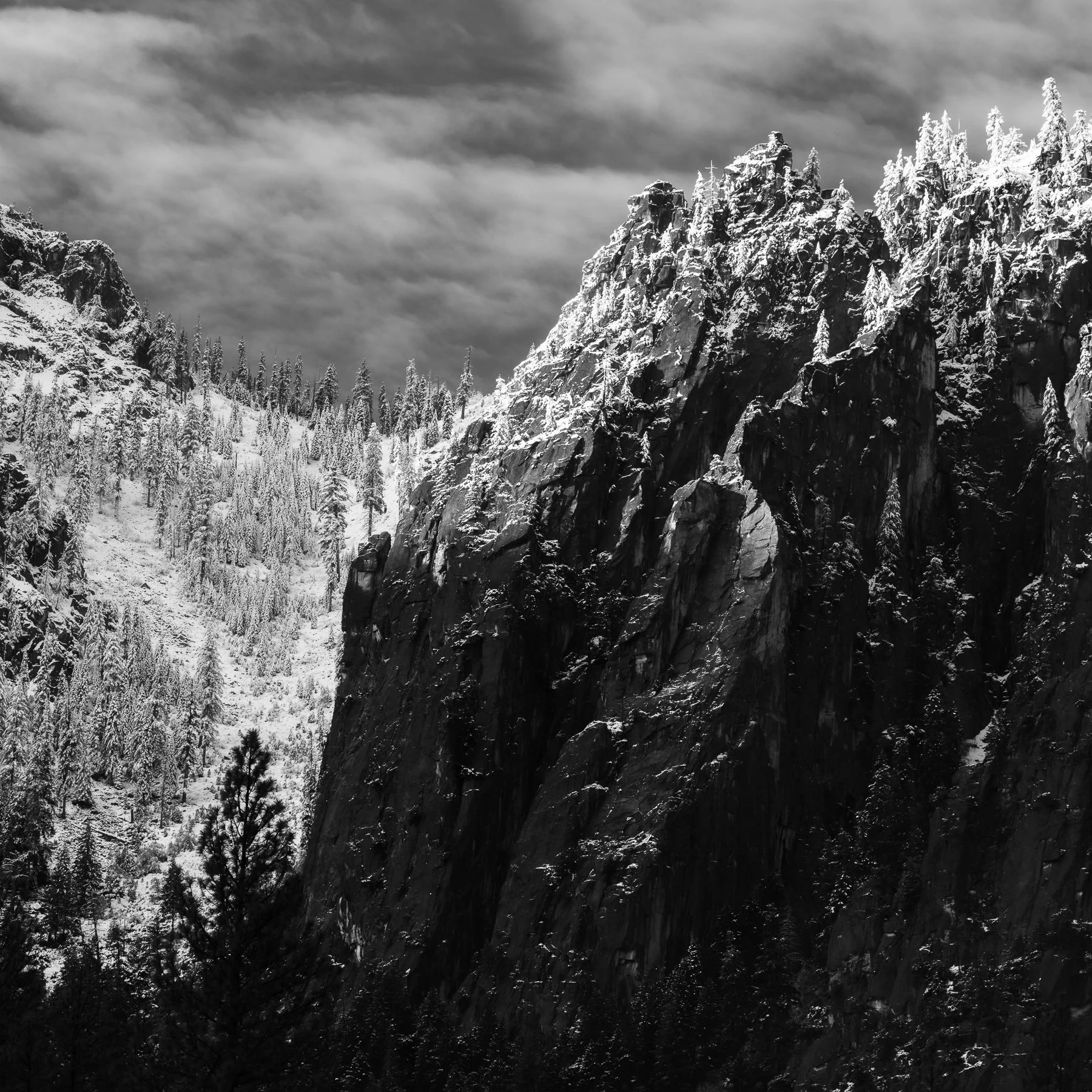  Yosemite NP, CA. (2026) 