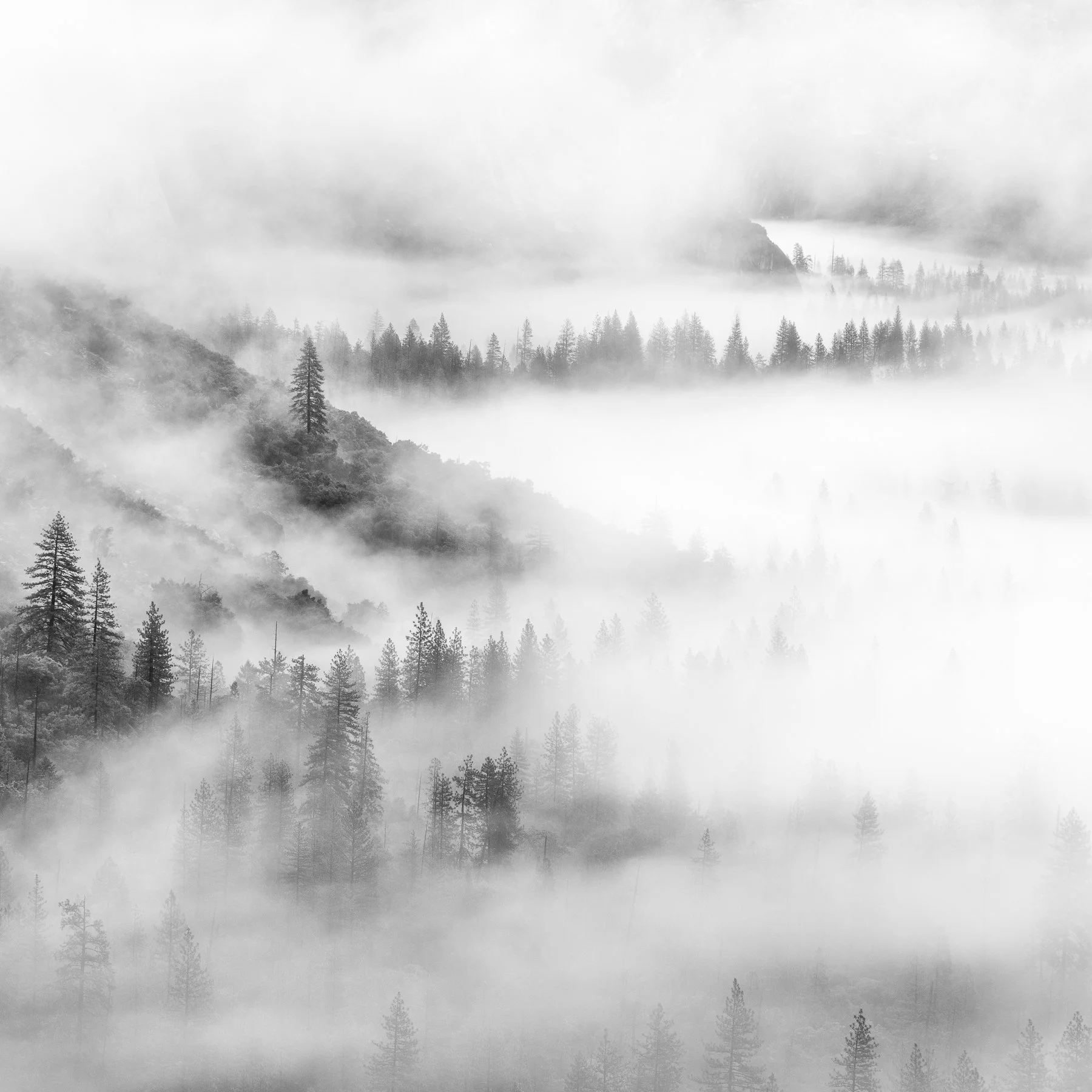  Yosemite NP, CA. (2026) 