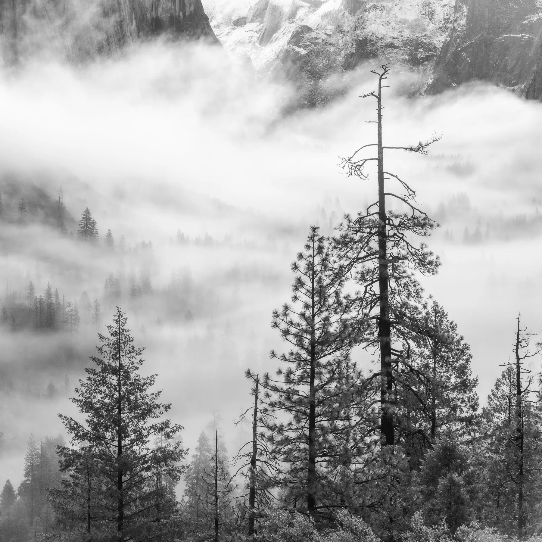  Yosemite NP, CA. (2026) 