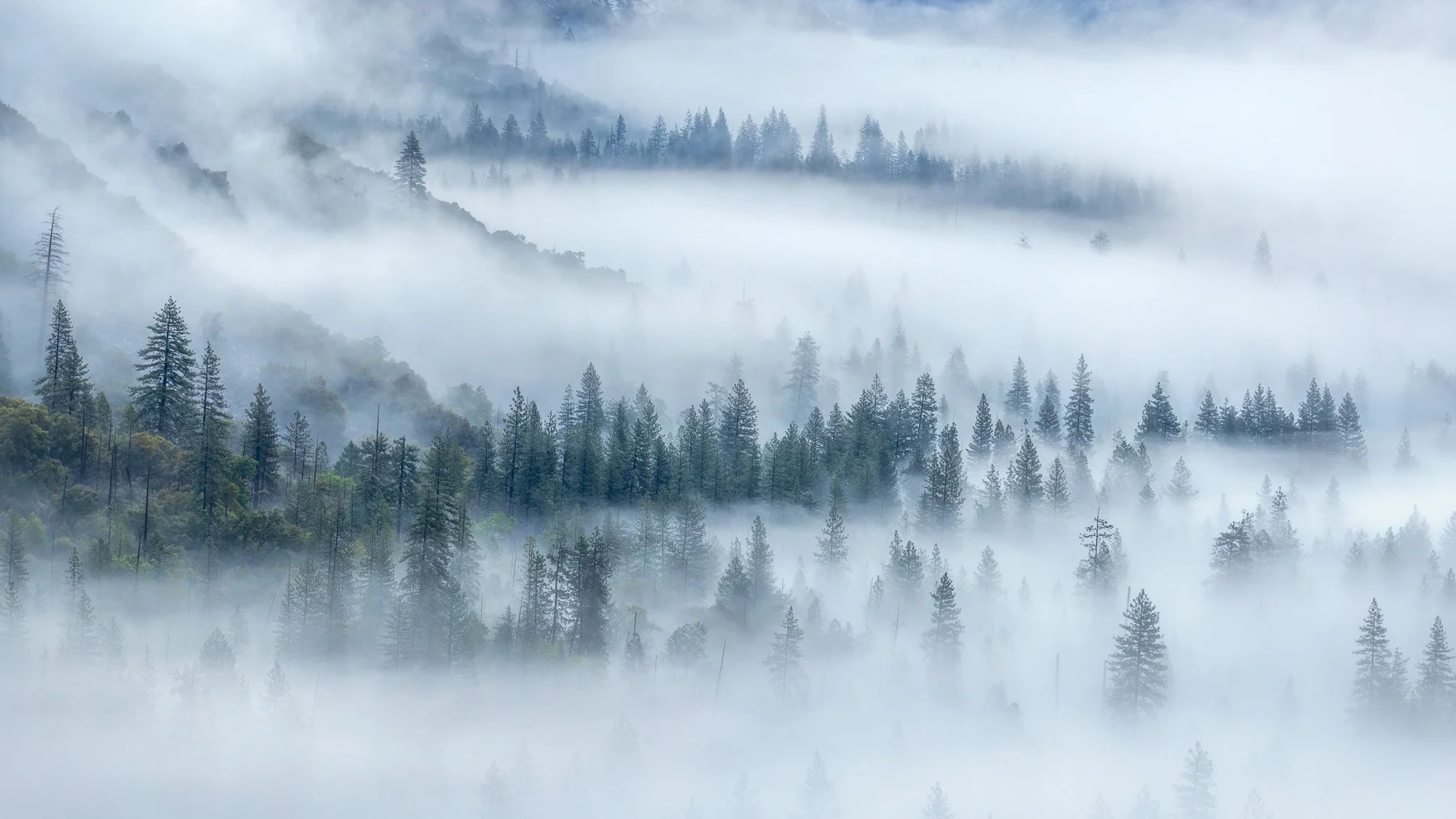  Yosemite NP, CA. (2026) 