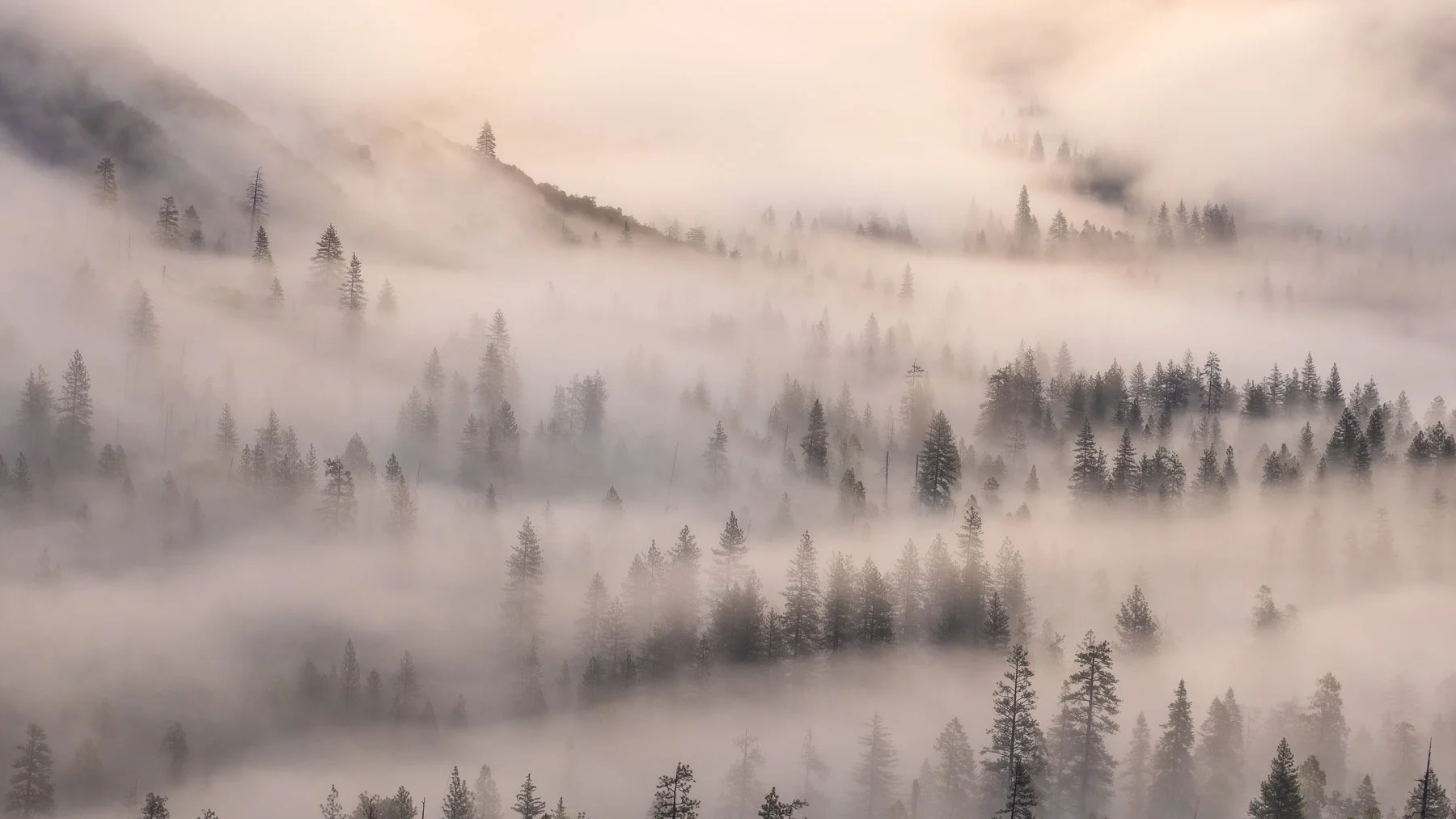  Yosemite NP, CA. (2026) 