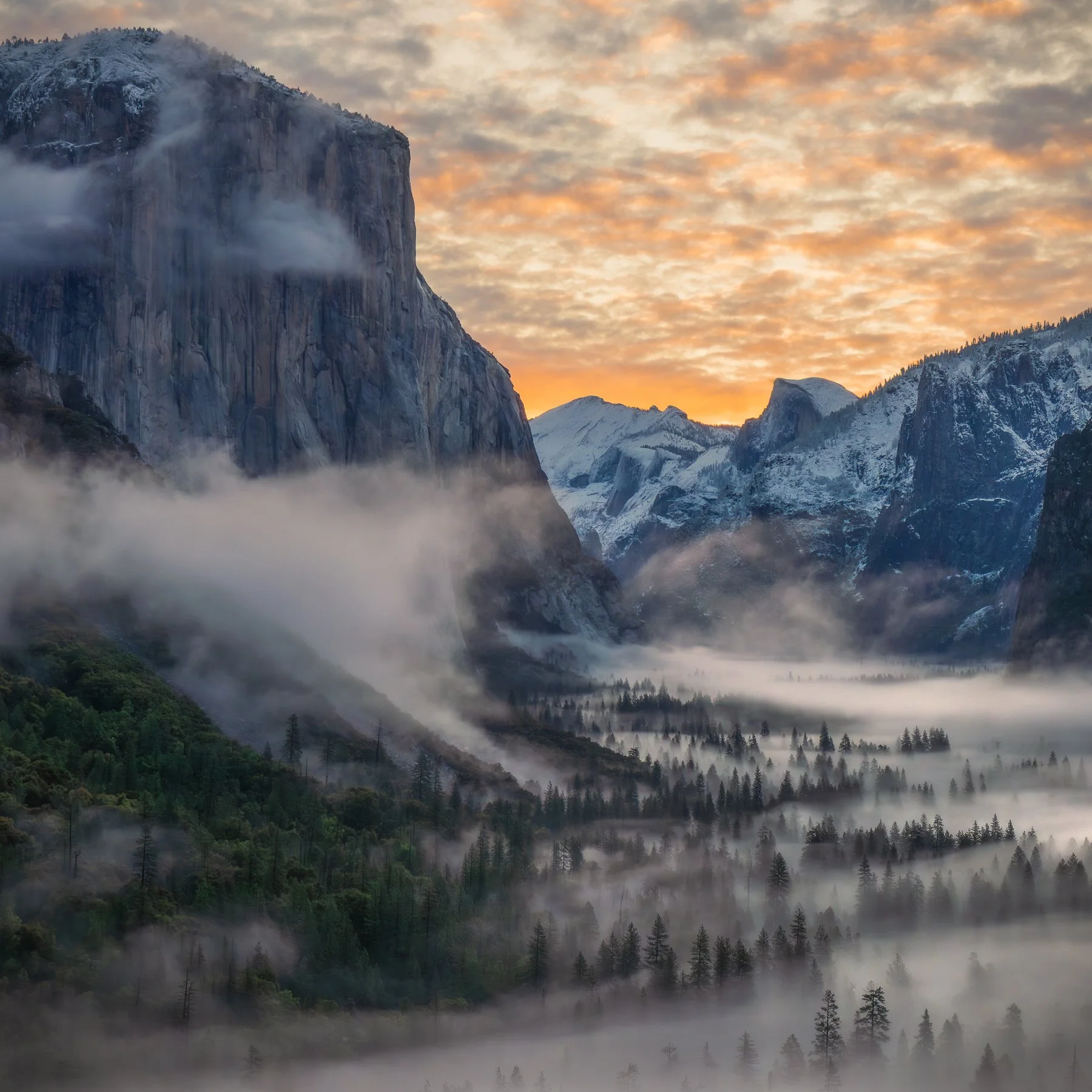  Yosemite NP, CA. (2026) 
