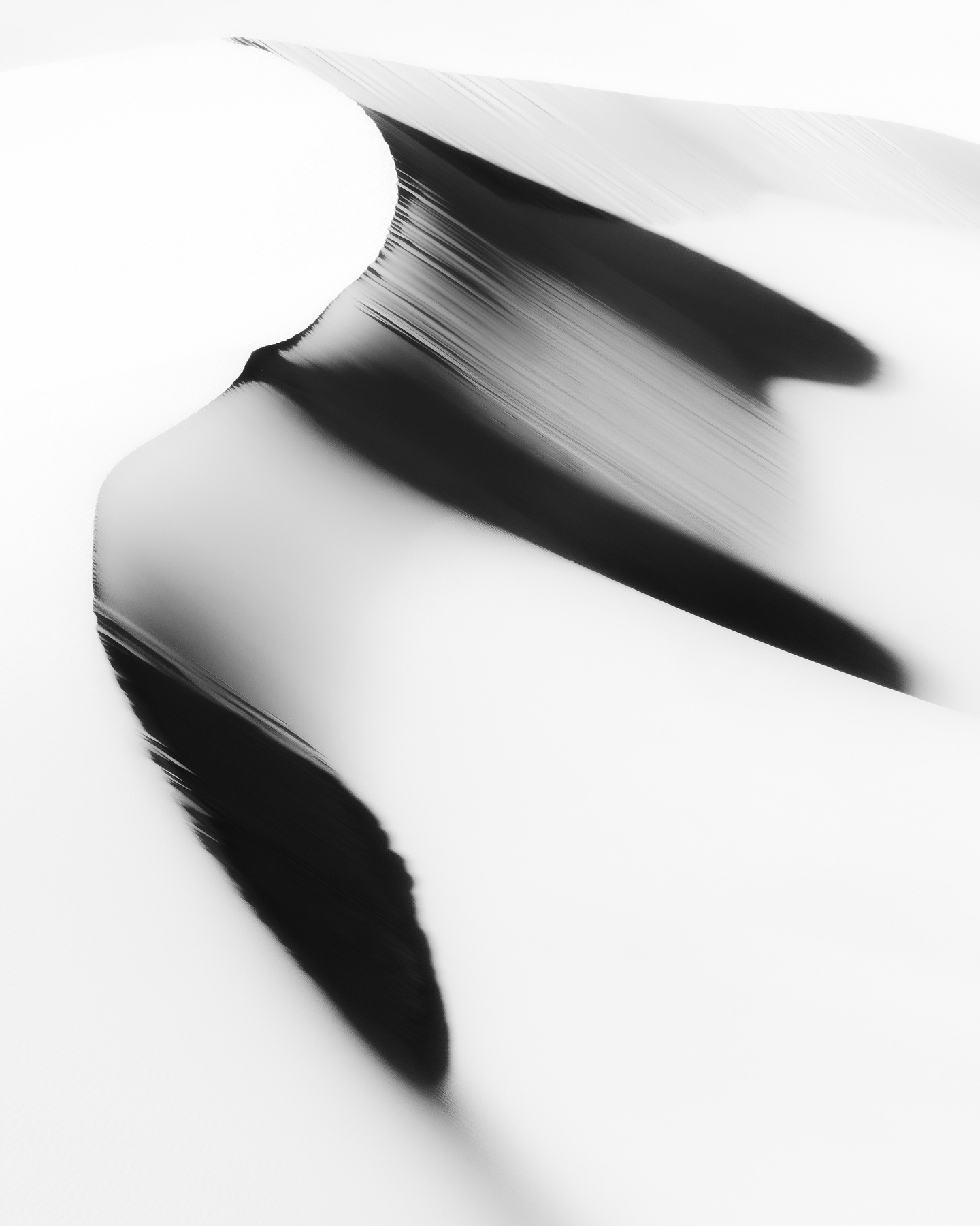 The Dance