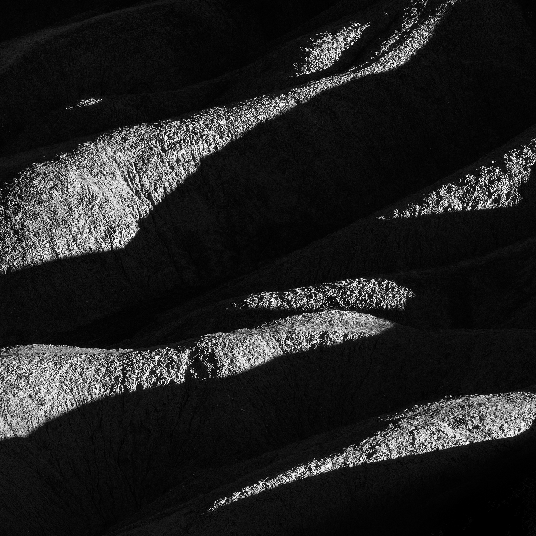 Songs of Silence